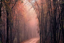 雷火电竞-湖人107：皇马3！这场元宇宙德比，暴露了足球的致命短板