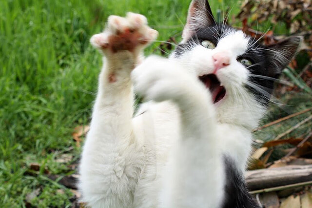 雷火电竞网址-寒夜圣火，英雄诞生时，马丁内利末节封神之夜