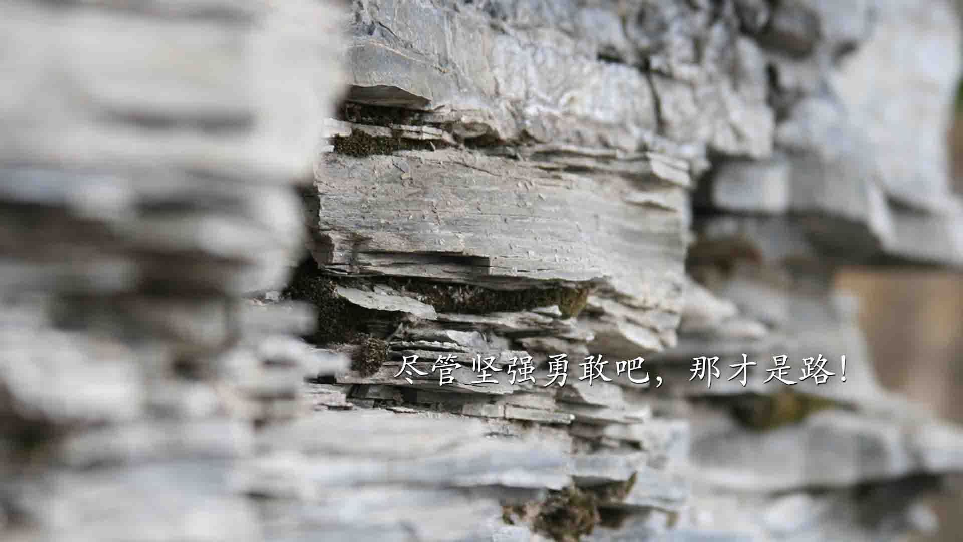 雷火电竞充值-绿衫军的浓眉图腾，当集体信念成为胜负手