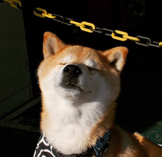 雷火电竞下载-封喉！阿劳霍超神之夜粉碎拜仁霸业