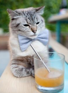 时间沙漏，当萨卡的转换遇见罗马的洪流，首尔在尖叫