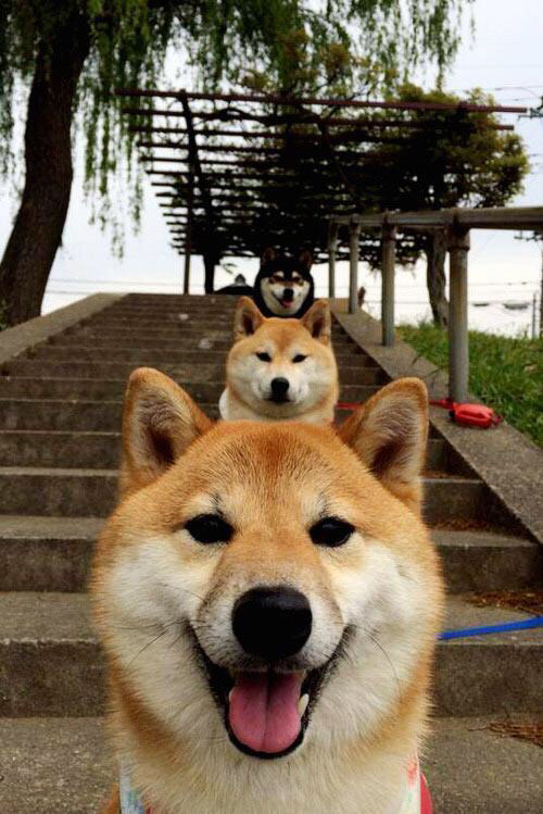 团队风暴与巨星锋芒，森林狼击溃爵士诠释集体力量，伦纳德大场面先生传奇再续