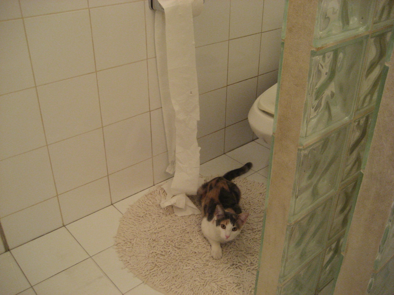 唯一之战，范弗利特关键制胜，吉林队历史性完胜火箭